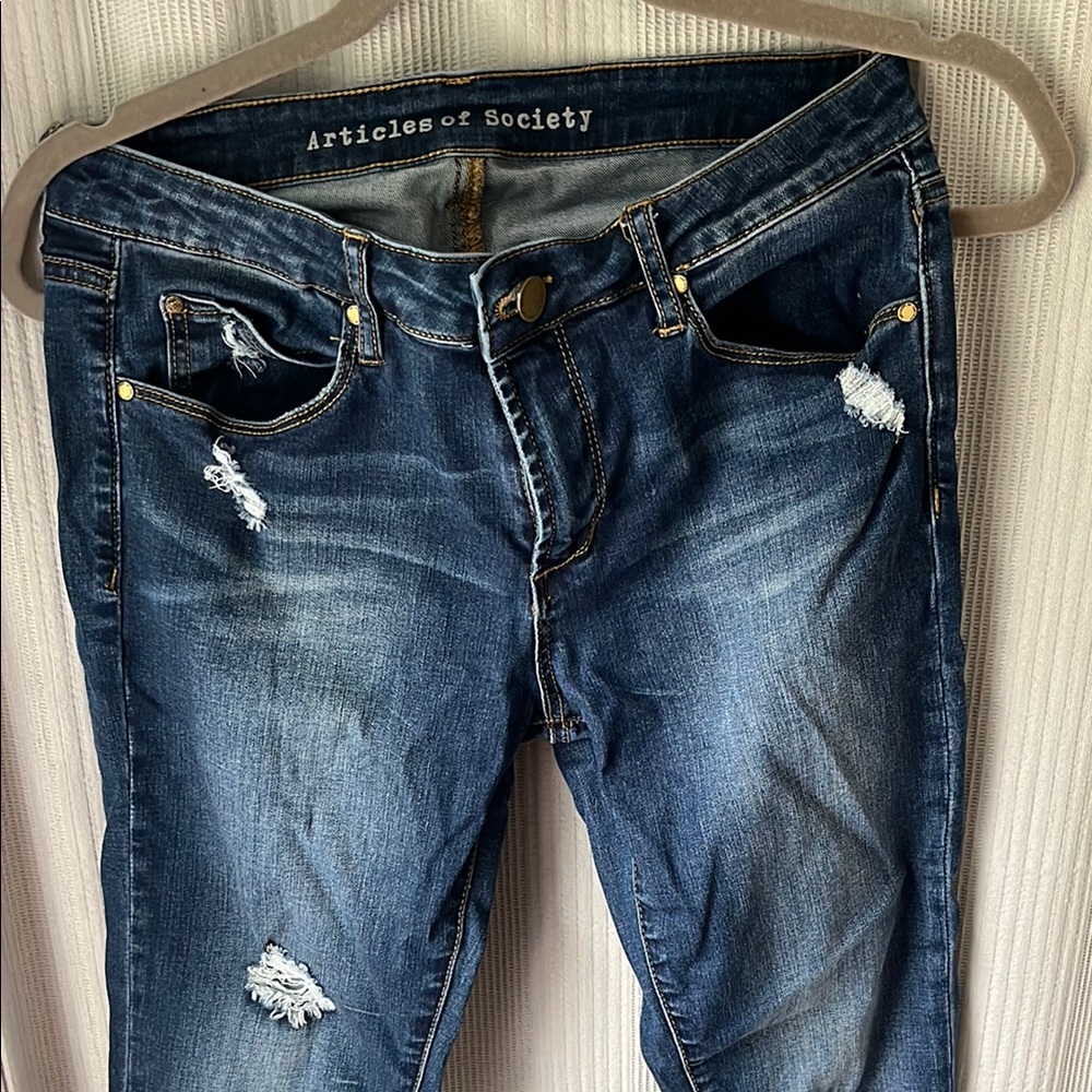 Articles Of Society Blue Skinny Jeans with Distressed Details